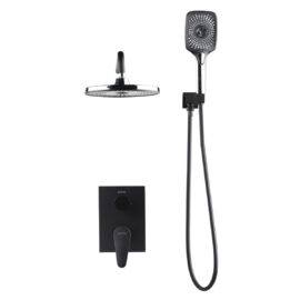 Top spray with shower head
