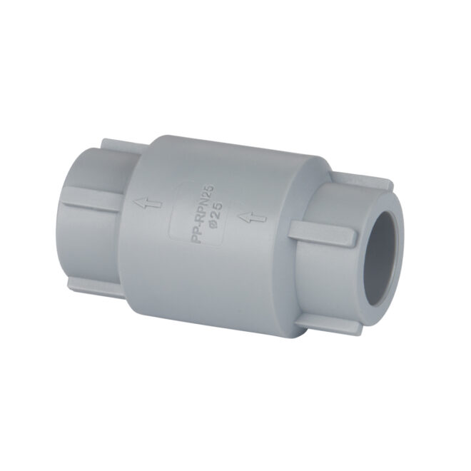 Check valve